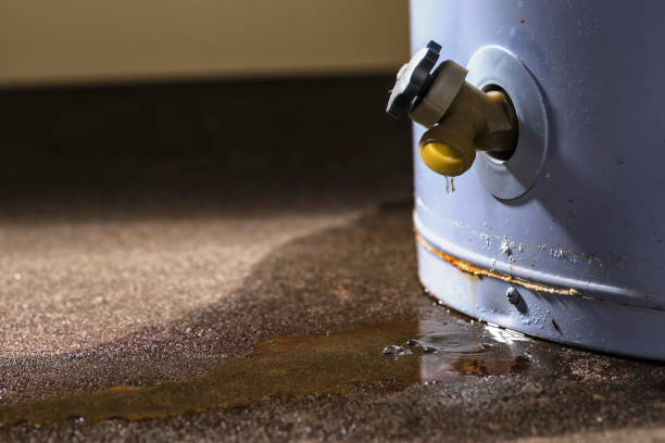 Best Water damage cleanup near me  in Mogadore, OH