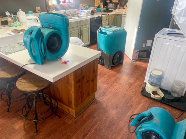 Best Commercial water damage restoration  in Mogadore, OH