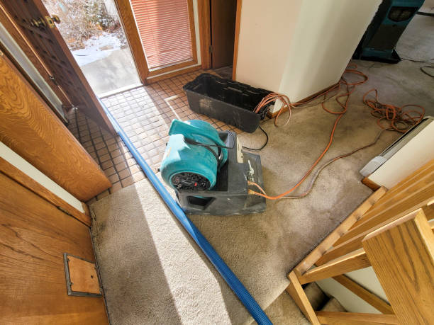 Best 24-hour water damage restoration  in Mogadore, OH