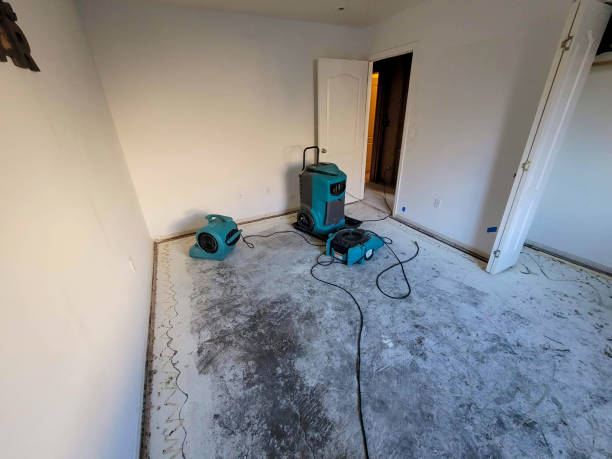 Best Flood restoration services  in Mogadore, OH
