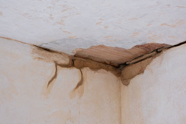 Best Flood damage cleanup  in Mogadore, OH